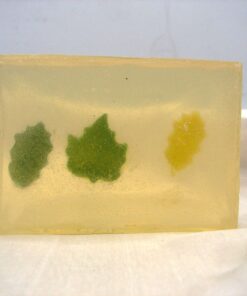 Leaves Clear Glycerin Soap