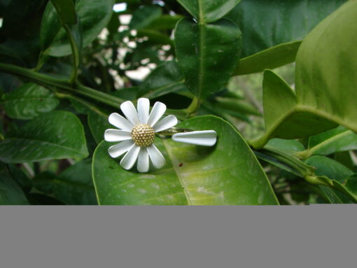 Unique White Enamel Daisy Flower Ring