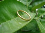 Gold plated Titanium Hoop Earring Pakistan by dango