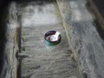 Rainbow Steel Band - Image 3