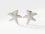 Star Zircon Stud Earrings for women in Pakistan by dango