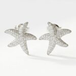 Star Zircon Stud Earrings for women in Pakistan by dango